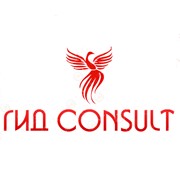 Логотип компании ГИД Consult (ГИД Консалт) ТОО (Караганда)