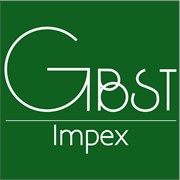 Логотип компании GBST-impex, SRL (Кишинев)