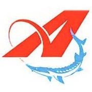 Логотип компании Эстониш (Апико-Фиш), ОДО (Минск)