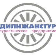 Логотип компании Дилижанстур, Компания (Минск)