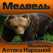 Логотип компании Аптека Народной Медицины “МЕДВЕДЬ“ (Павлодар)