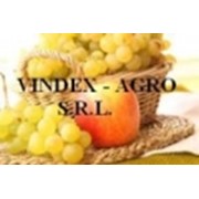 Логотип компании Vindex-Agro, SRL (Орхей)