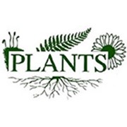 Логотип компании PLANTS and ROSTOK, ИП (Алматы)