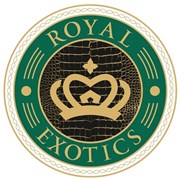 Логотип компании ЭКЗОТИКА (Санкт-Петербург)