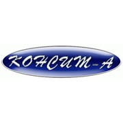 Логотип компании Консит-А, ООО (Москва)
