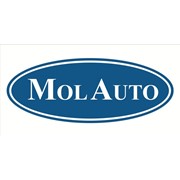 Логотип компании Holding MolAuto, SA (Кишинев)