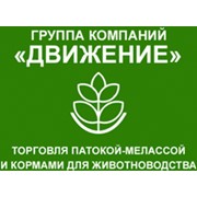 Логотип компании Движение ГК, ООО (Воронеж)