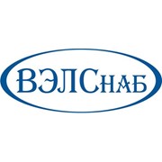 Логотип компании ВЭЛСнаб, ООО (Москва)