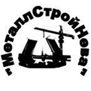 Логотип компании МеталлСтройНева, ООО (Санкт-Петербург)