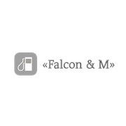 Логотип компании Falcon &amp; M, ТОО (Астана)