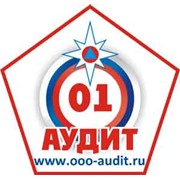 Логотип компании Аудит 01, ООО (Абакан)