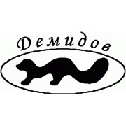 Логотип компании Демидов, ООО (Ревда)
