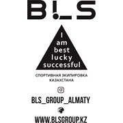 Логотип компании BLS GROUP (Алматы)