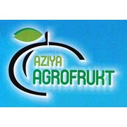 Логотип компании Aziya Agro Frukt, OOO (Ташкент)