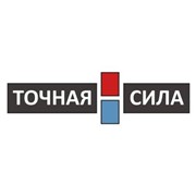Логотип компании Точная сила, ООО (Санкт-Петербург)