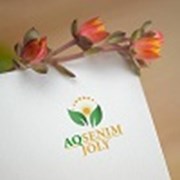 Логотип компании Aqsenimjoly (Атырау)