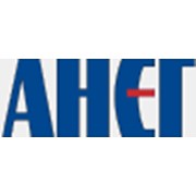 Логотип компании Анег, НПЧП (Киев)