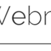 Логотип компании WEBMASTER STUDIO (Кишинев)
