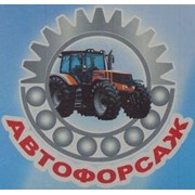 Логотип компании Автофорсаж (Беззубец), СПД (Белая Церковь)