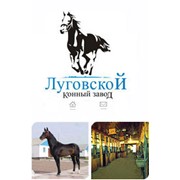 Логотип компании Луговской конный завод, ТОО (Тараз)