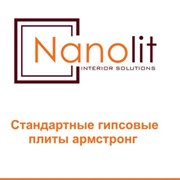 Логотип компании Nanolit (Ташкент)