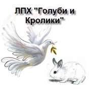 Логотип компании ЛПХ Голуби и кролики, ООО (Нефтекамск)