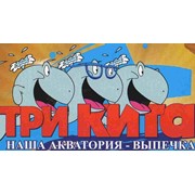 Логотип компании Три Кита Донецк Интервест-96, ООО (Донецк)