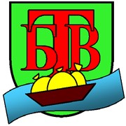 Логотип компании Белтаможвилия, ООО (Вилейка)