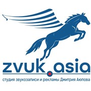 Логотип компании Zvuk.Asia (Звук Азия), ИП (Караганда)