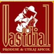 Логотип компании Vastdial & Co, SRL (Булбоака)