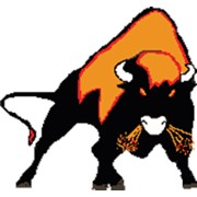 Логотип компании Игуана, НП ООО (Запорожье)