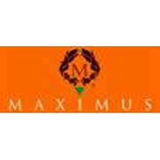 Логотип компании Maximus (Максимус), ТОО (Актобе)