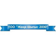 Логотип компании Жана Шыгыс 2030, ТОО (Павлодар)
