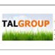 Логотип компании Талгроуп (TALGROUP), ООО (Киев)