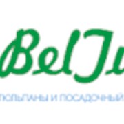 Логотип компании BelTulpan (Белореченск)
