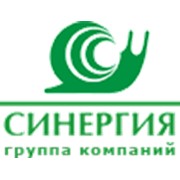 Логотип компании Синергия, ООО (Минск)