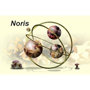 Логотип компании Норис, ООО (Noris) (Дрогобыч)