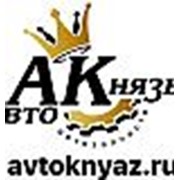 Логотип компании ООО АВТОКНЯЗЬ (Нижний Новгород)