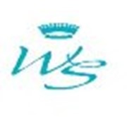 Логотип компании Wellness Style (Минск)