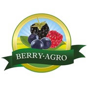 Логотип компании Берри Агро, ООО (Рудня-Быстрая)