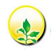 Логотип компании Успех, ИП (Кемерово)