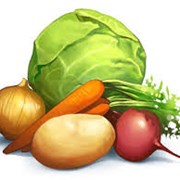 Логотип компании Овощи Заволжья (Красный Кут)