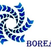 Логотип компании Борей (Санкт-Петербург)