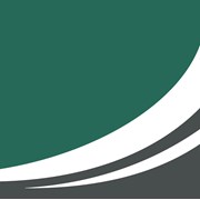 Логотип компании “Perfect Paper Group“ (Чиназ)