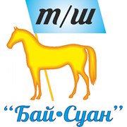 Логотип компании Бай Суан (Алматы)