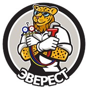 Логотип компании ЭВЕРЕСТ (Карасук)