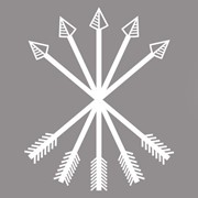 Логотип компании Binitech International AG (Киев)