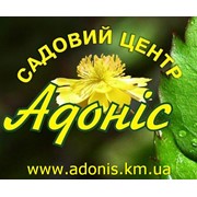 Логотип компании Адонис, Садовый центр (Хмельницкий)