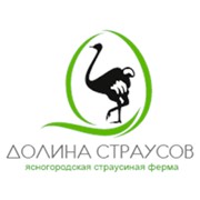 Логотип компании Ясногородская страусиная ферма, ООО (Ясногородка)