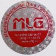 Логотип компании Межрегиональная лига голографистов, ООО (Москва)